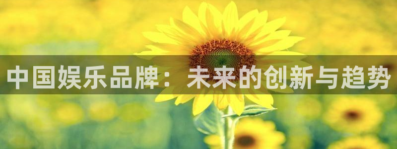 092000777美狮贵宾会：中国娱乐品牌：未来的创新与趋势