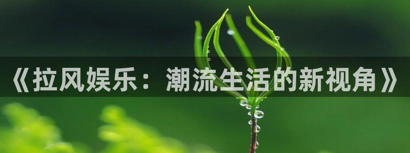 ms美狮贵宾会：《拉风娱乐：潮流生活的新视角》