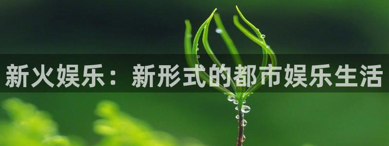 美狮贵宾会0923344：新火娱乐：新形式的都市娱乐生活