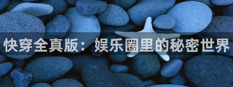 美狮贵宾会官网登录：快穿全真版：娱乐圈里的秘密世界