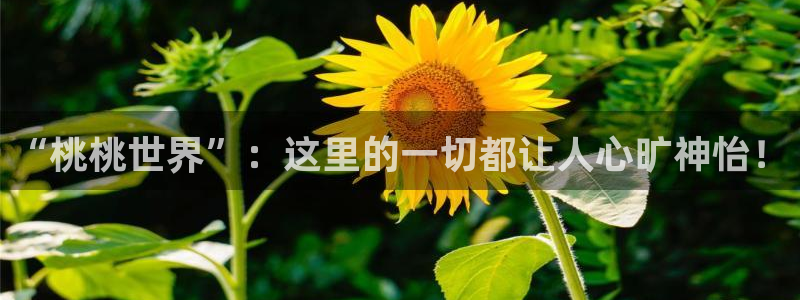 美狮贵宾会ms092021最新款报价及图片：“桃桃世界”：这里的一切都让人心旷神怡！
