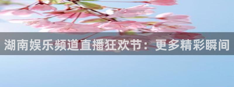ms美狮贵宾会：湖南娱乐频道直播狂欢节：更多精彩瞬间
