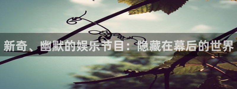 美狮贵宾会0924455：新奇、幽默的娱乐节目：隐藏在幕后的世界