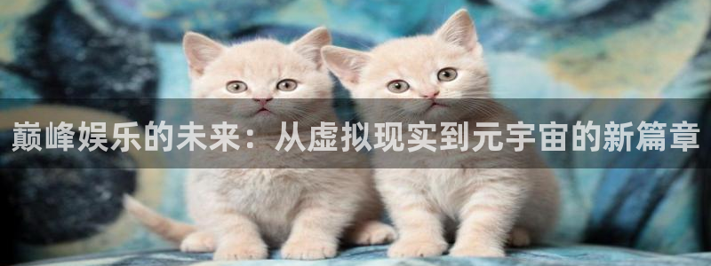 美狮贵宾会官方网下载：巅峰娱乐的未来：从虚拟现实到元宇宙的新篇章