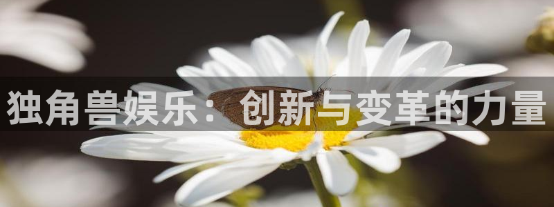 upload/20250701114914.jpg